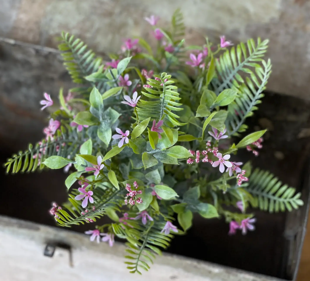 12" Fernshot Blooms Bush